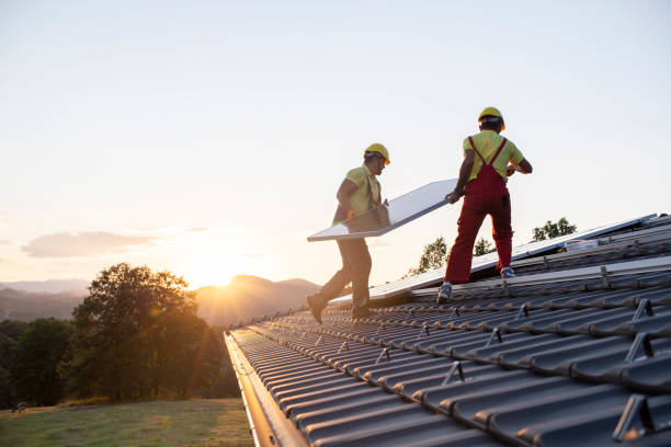 Best Storm Damage Roof Repair  in Abbeville, AL