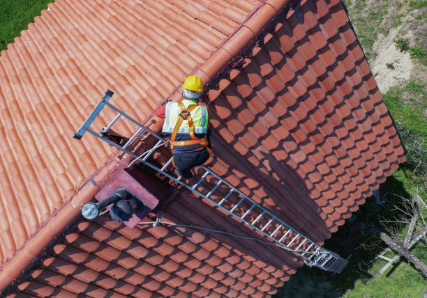 Best Roof Moss and Algae Removal  in Abbeville, AL