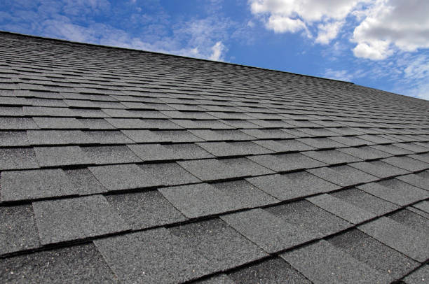 Best Roof Coating and Sealing  in Abbeville, AL